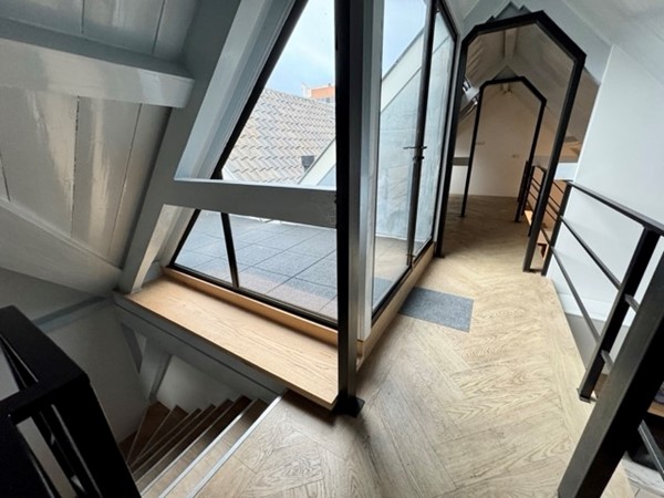 IMG_1271 2 Medium.jpeg